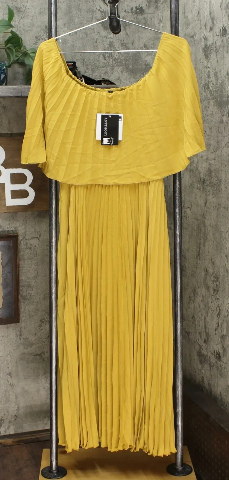 Antthony Women's Pleated Maxi Dress