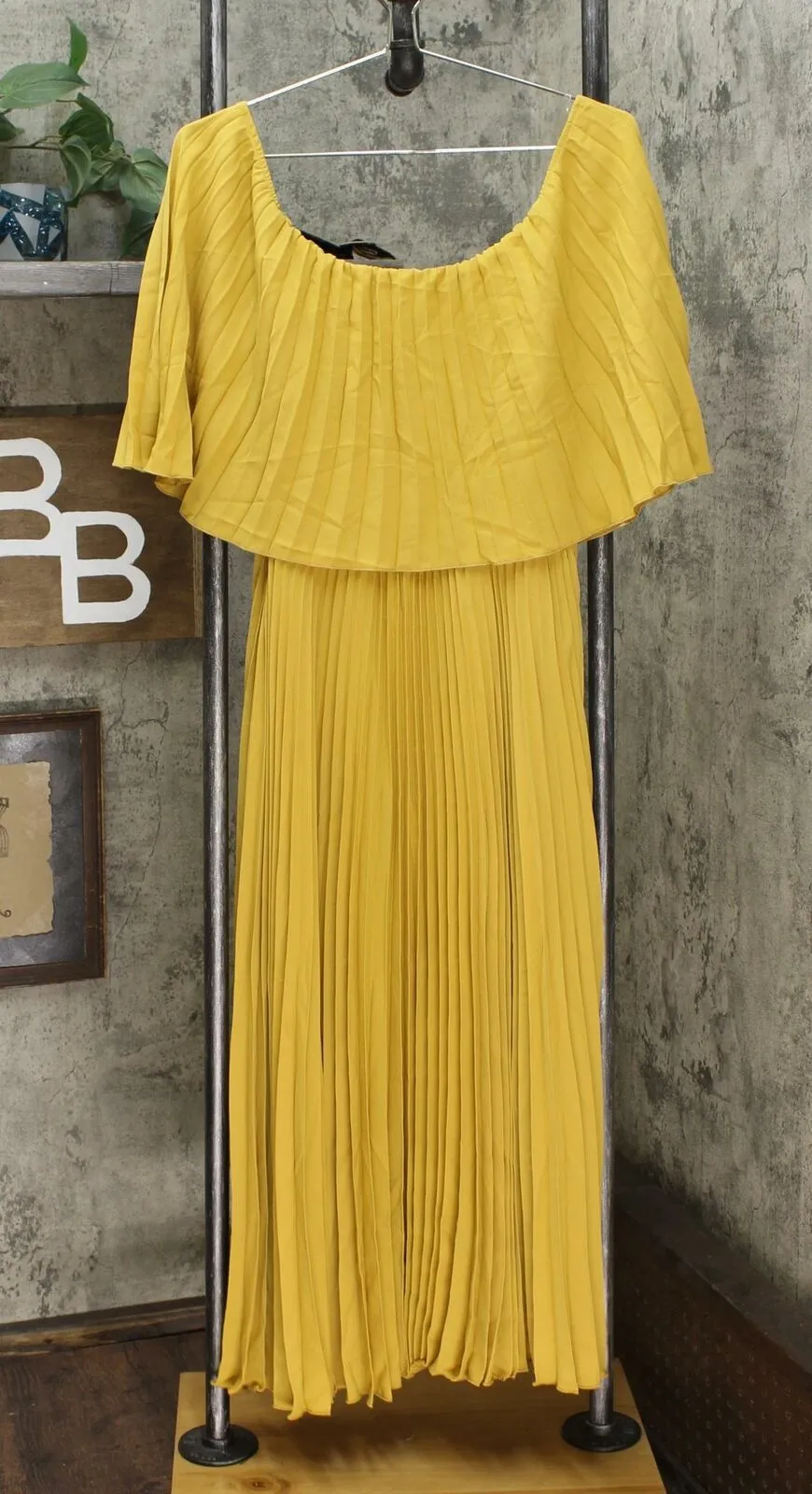 Antthony Women's Pleated Maxi Dress