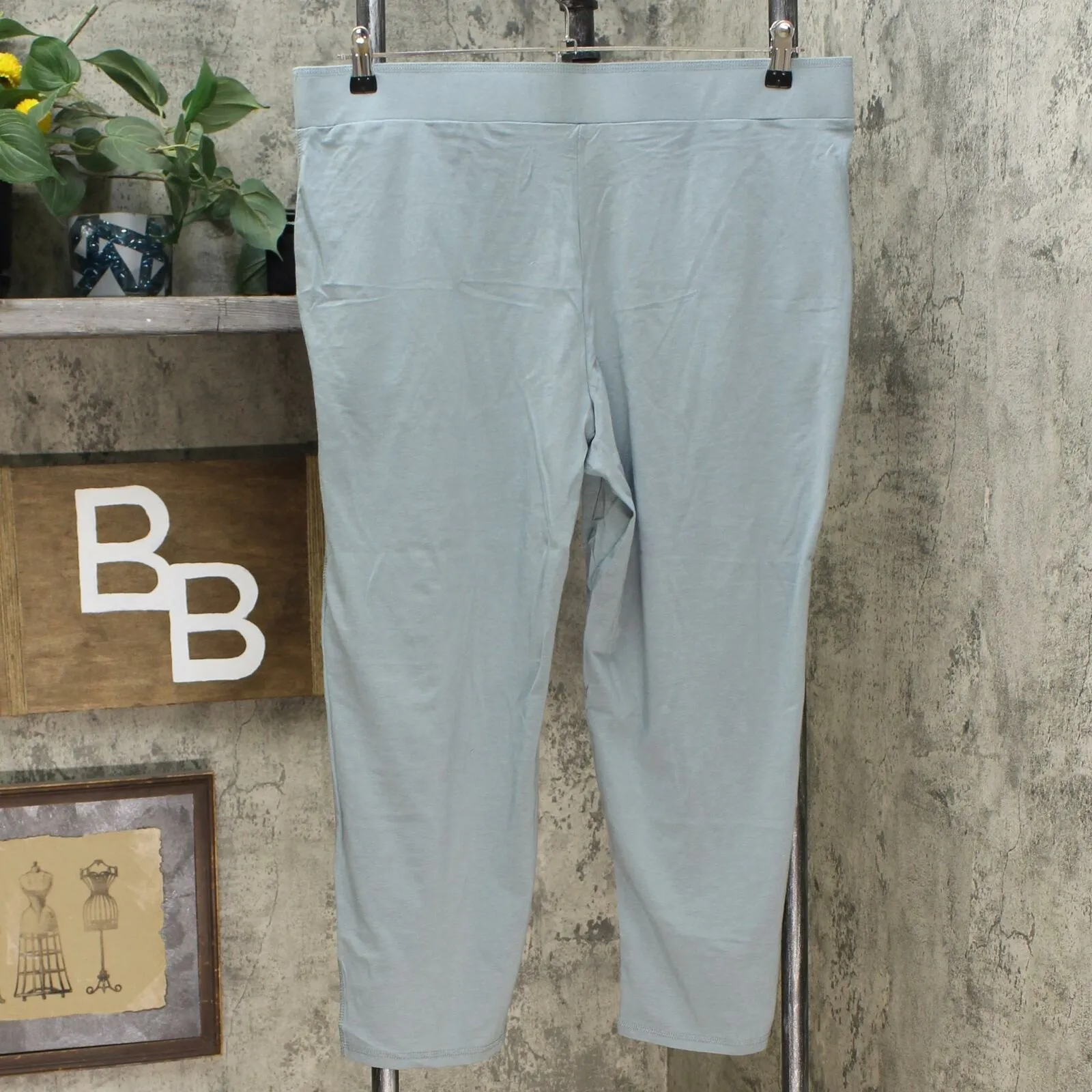 AnyBody Women's Petite Pleated Cozy Knit Pants