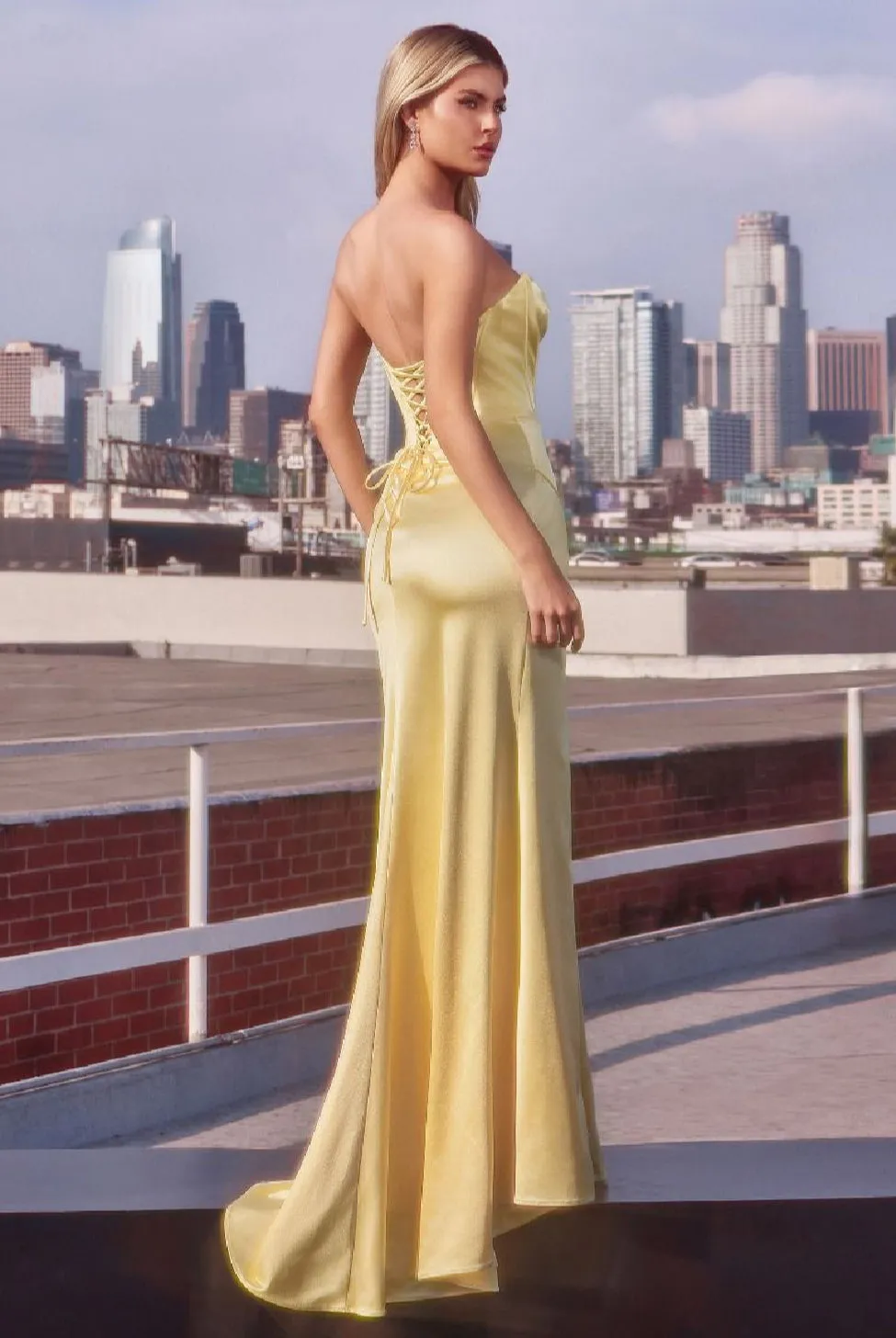 LaDivine by Cinderella Divine Evening Gown CD381