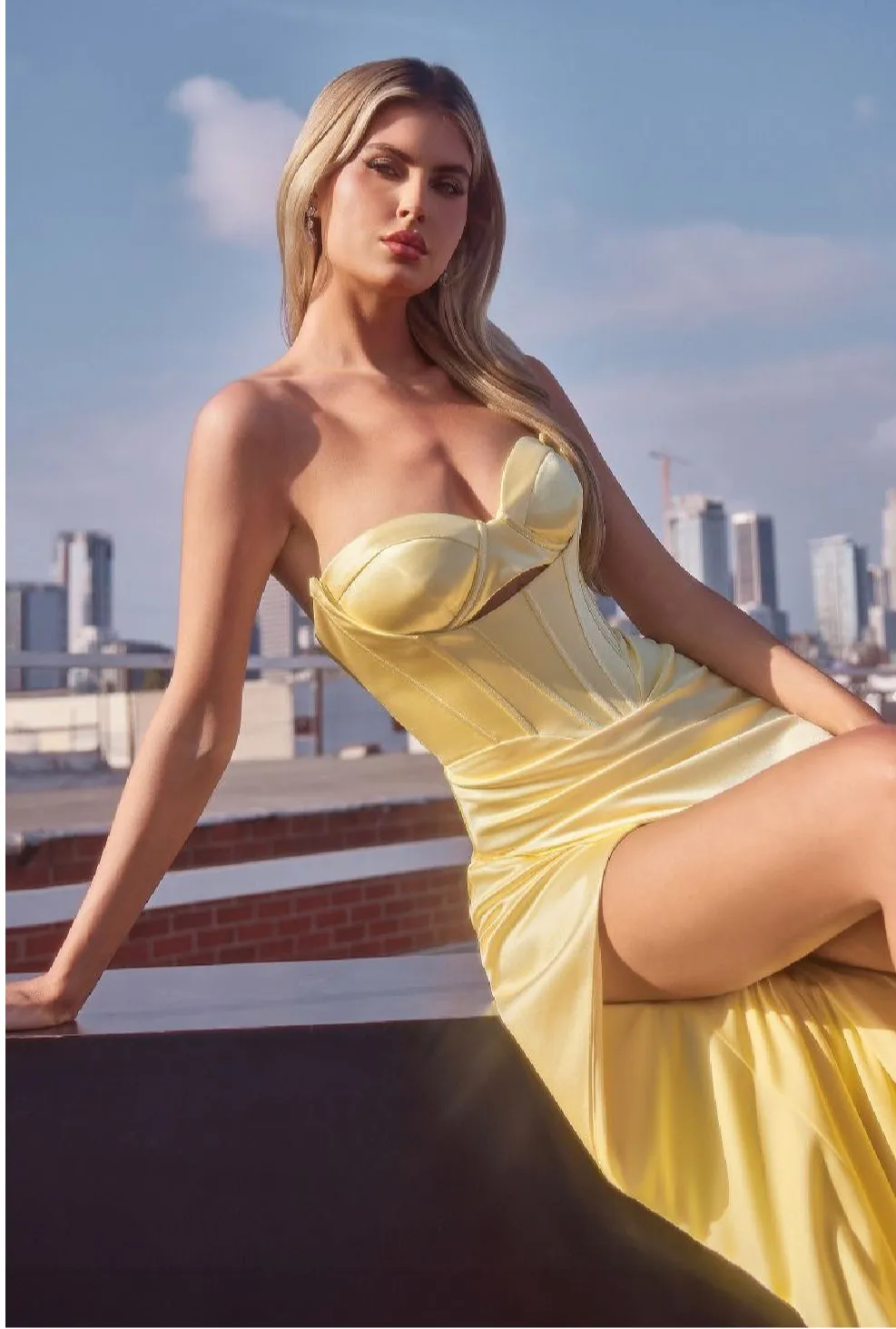 LaDivine by Cinderella Divine Evening Gown CD381