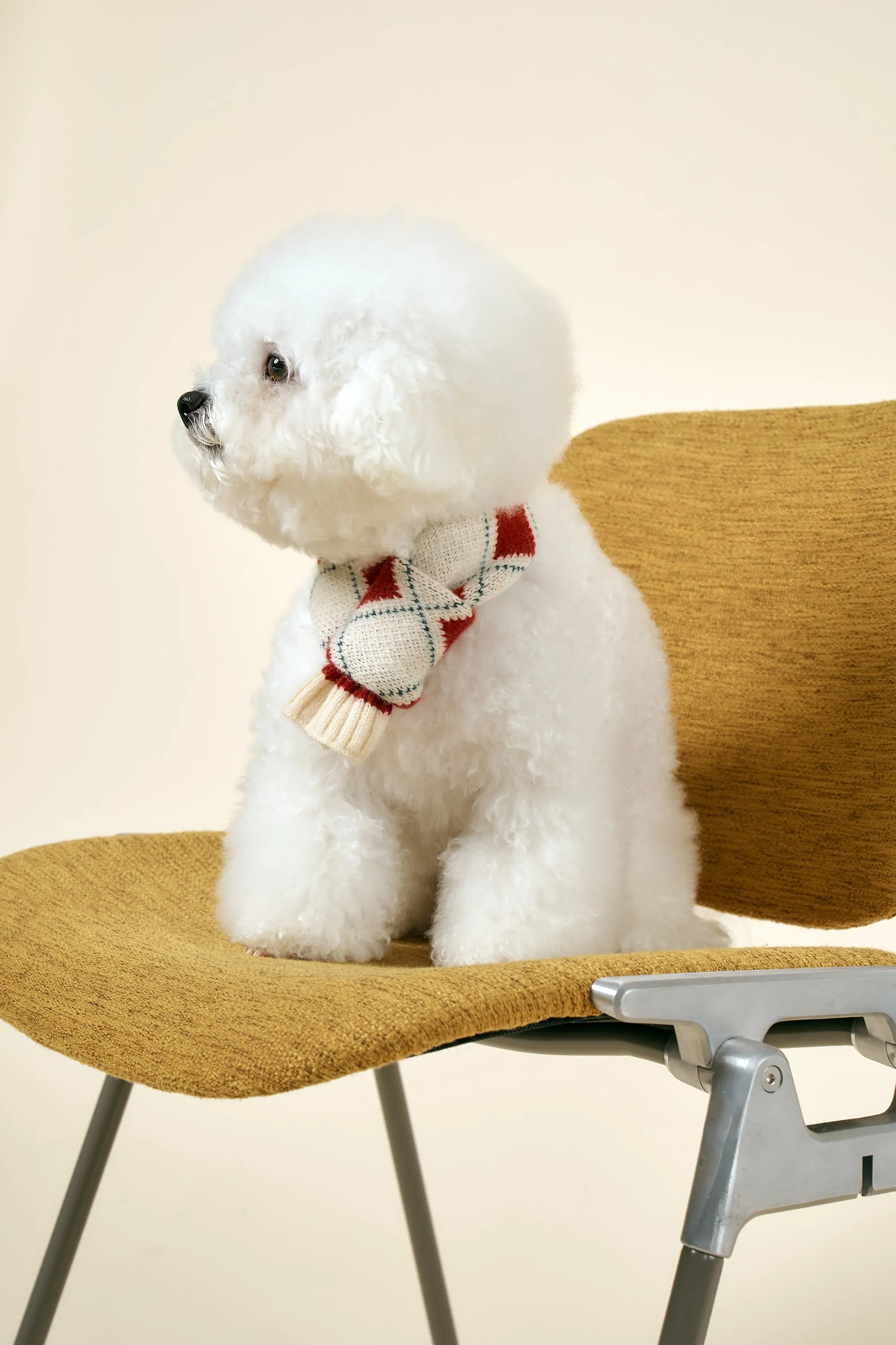 [STORETS X COSONNE] Knitted Pet Neck Scarf(for pet)
