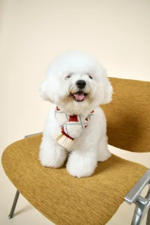 [STORETS X COSONNE] Knitted Pet Neck Scarf(for pet)