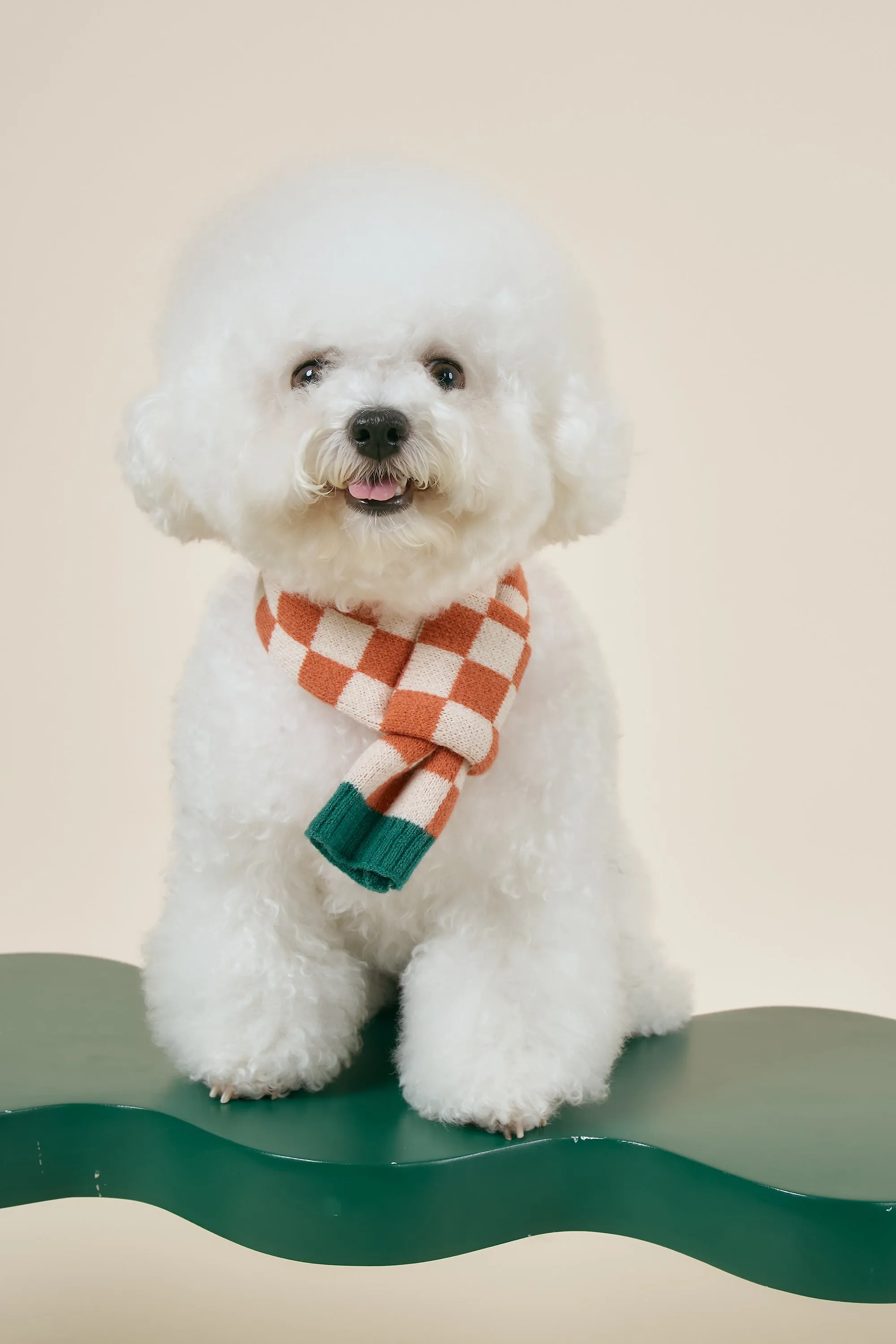 [STORETS X COSONNE] Knitted Pet Neck Scarf(for pet)
