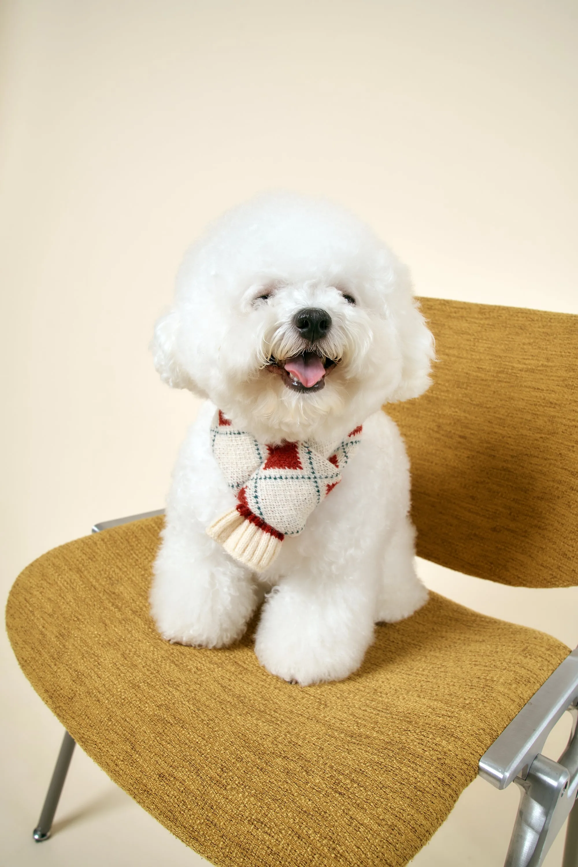 [STORETS X COSONNE] Knitted Pet Neck Scarf(for pet)